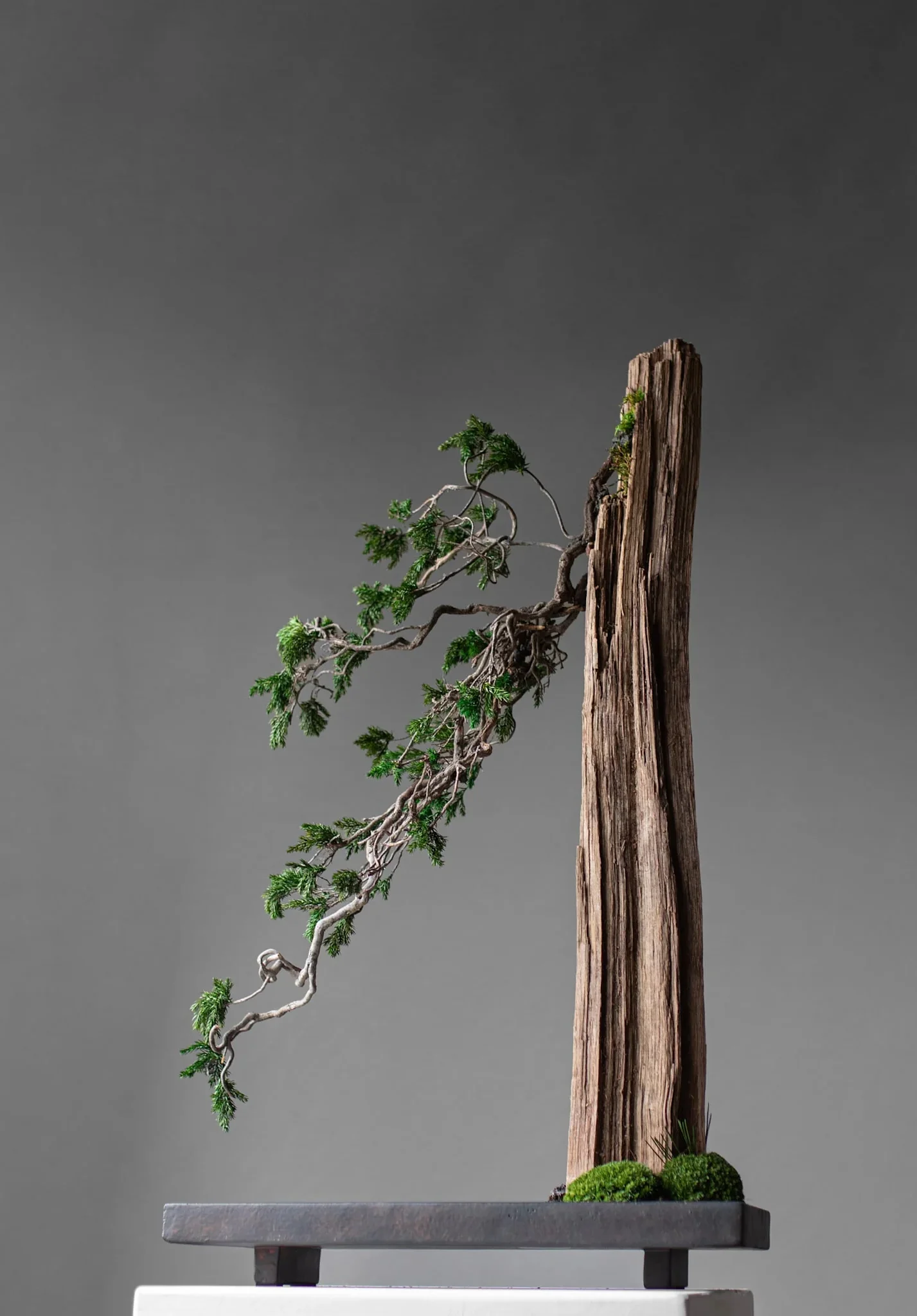 101 CPH Oka Tray - Coffee