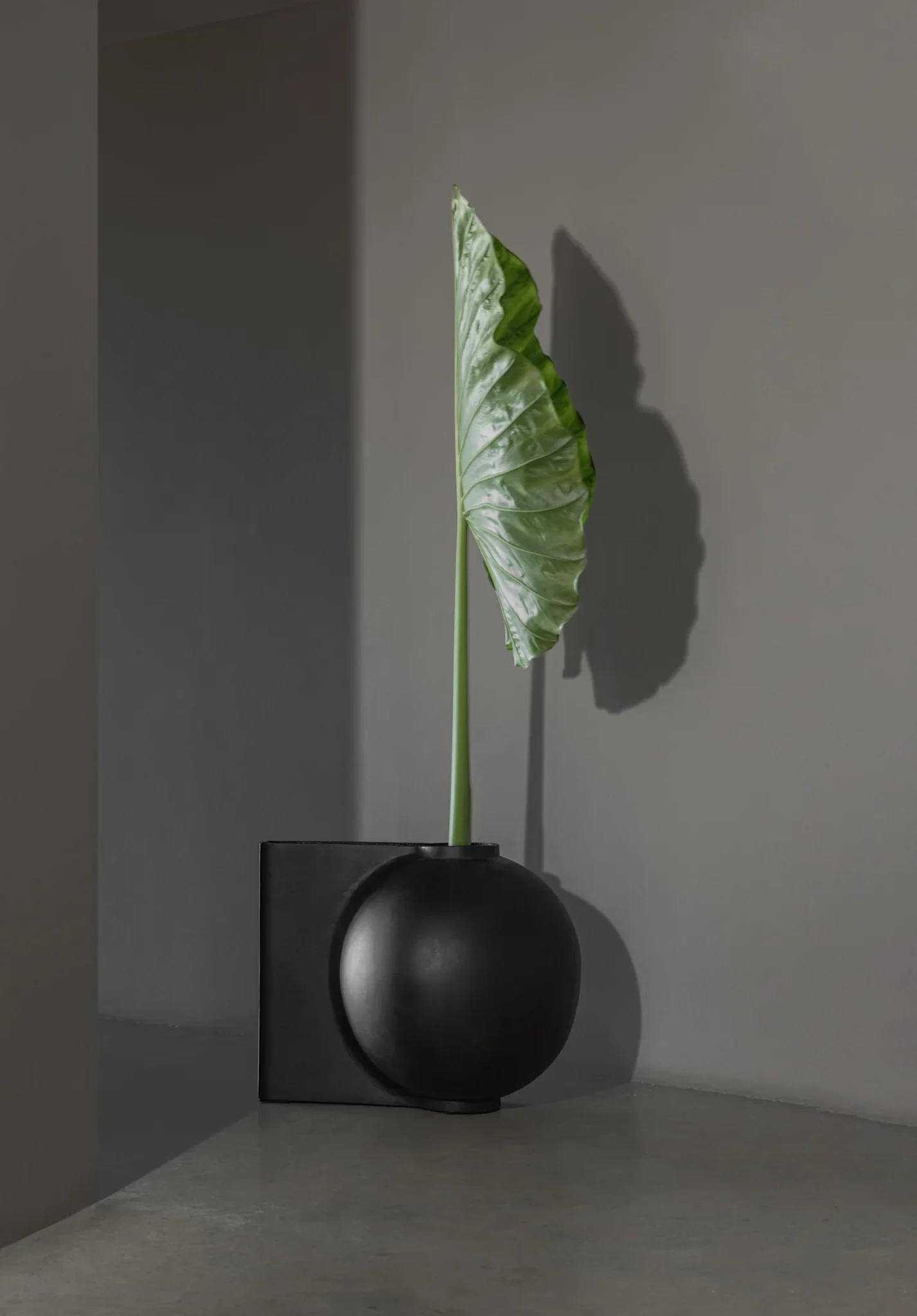 101 CPH Offset Vase, Big - Coffee