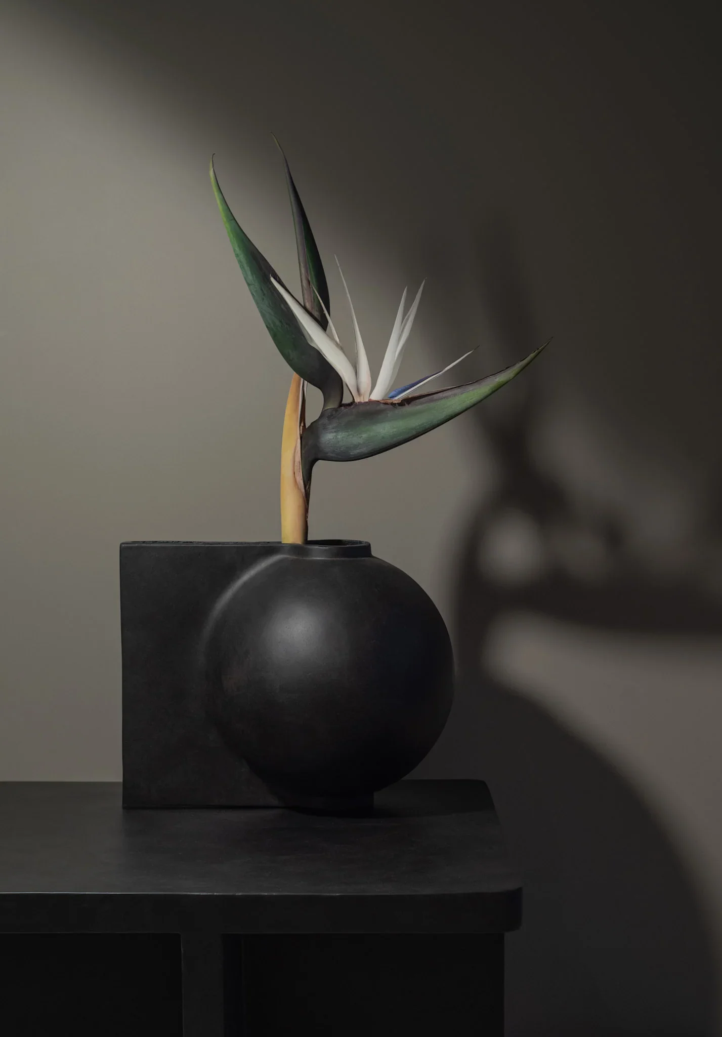 101 CPH Offset Vase, Mini - Coffee