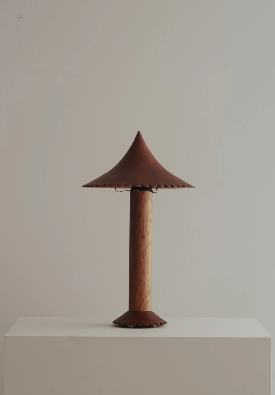 The Pole and Fringe Lamp | Jorge Suárez-Kilzi